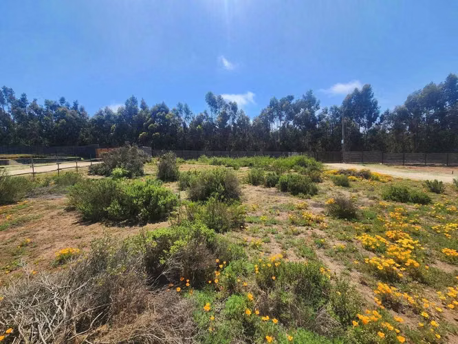 Parcela en venta en sector Rabones, Colbún (166527)