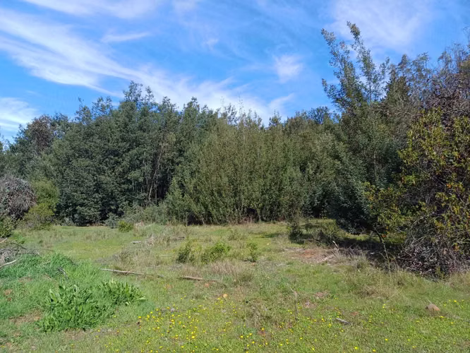 Parcela en venta en sector Rabones, Colbún (166527)
