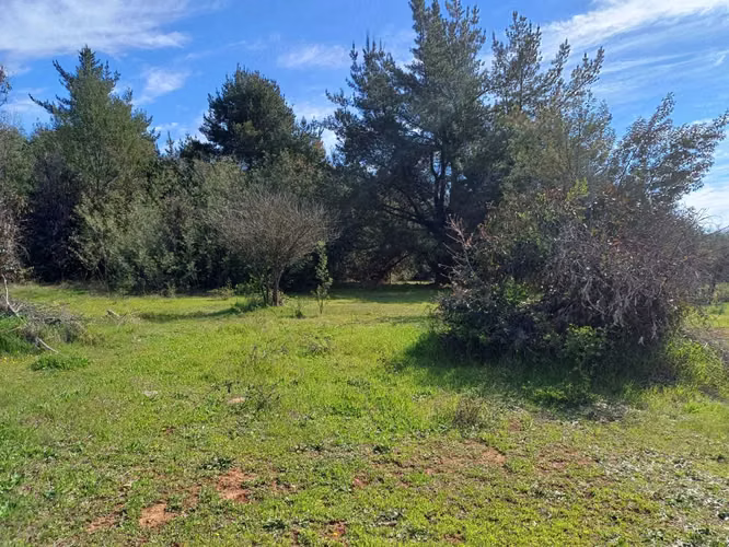 Parcela en venta en sector Rabones, Colbún (166527)