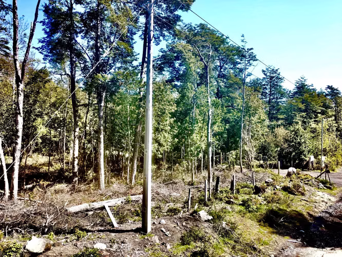 Venta Parcela Villarrica Alto De Pino Huacho  (166526)