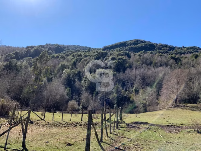 Maravilloso Campo
