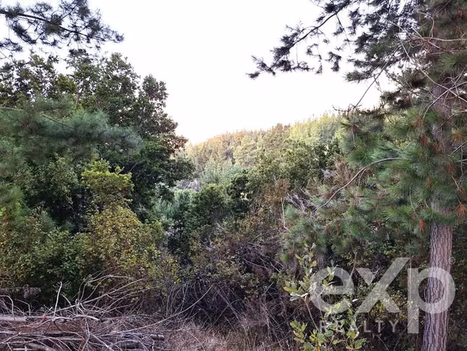 Vende Agrícola L136 en Pichilemu - Imagen 24