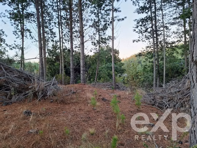 Vende Agrícola L136 en Pichilemu - Imagen 14