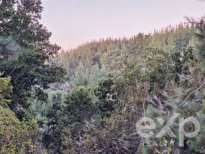 Vende Agrícola L136 en Pichilemu