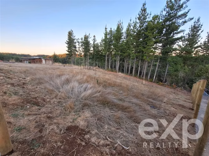 Vende Agrícola L136 en Pichilemu - Imagen 3