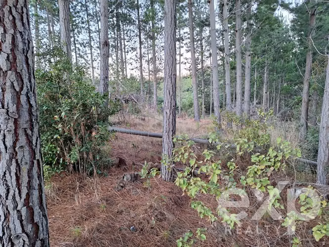 Vende Agrícola L136 en Pichilemu - Imagen 12