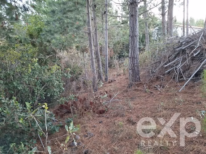 Vende Agrícola L136 en Pichilemu