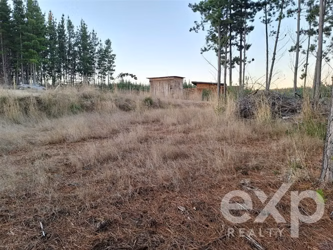 Vende Sitio L136 Pichilemu