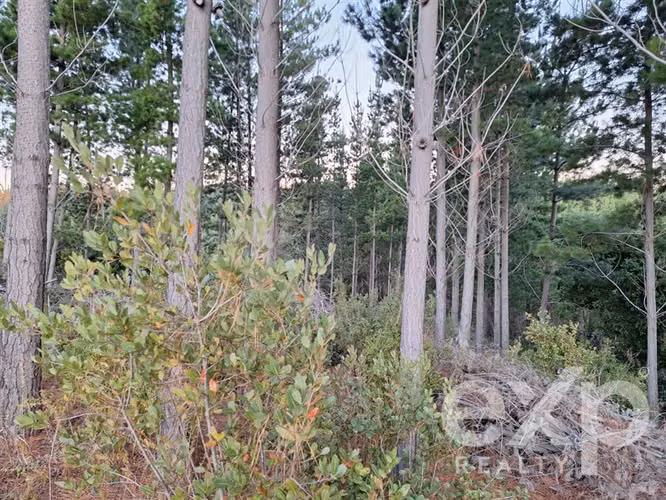 Vende Terreno L136 en Pichilemu