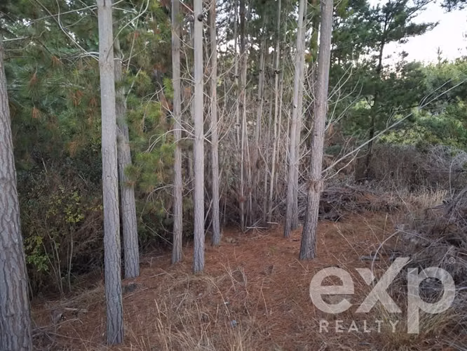 Vende Terreno L136 en Pichilemu