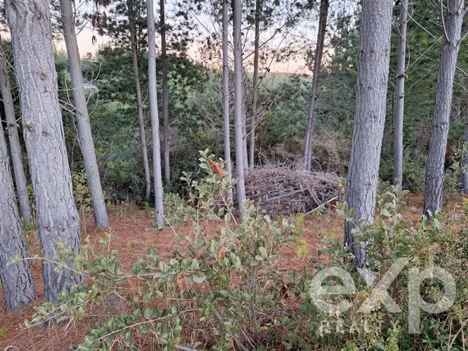 Vende Terreno L136 en Pichilemu - Imagen 10