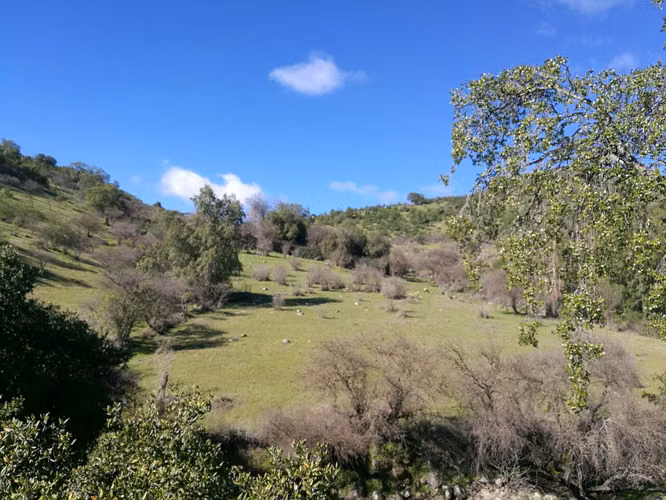 26 Hectáreas en Rauco! Rol Propio - Papeles al Día (A 30 min de Curicó)