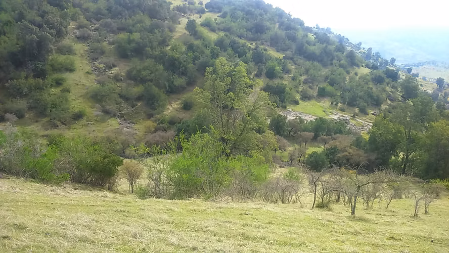 Últimos días a precio rebajado! - 26 Hectáreas en Rauco! Rol Propio - (A 30 min de Curicó)