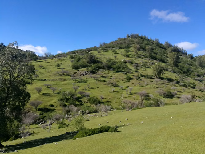 Últimos días a precio rebajado! - 26 Hectáreas en Rauco! Rol Propio - (A 30 min de Curicó)