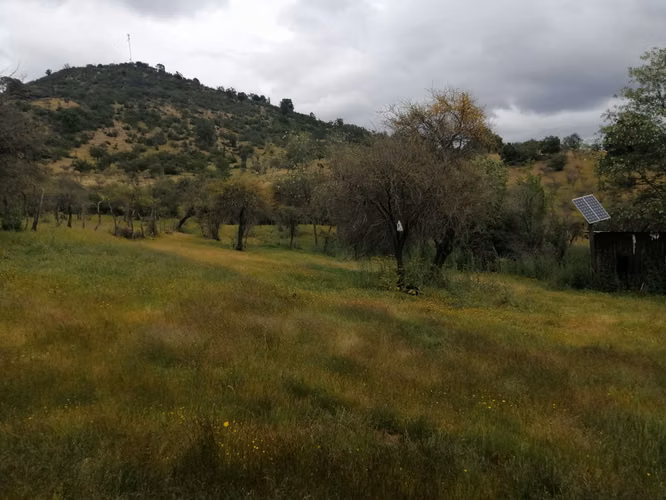 Últimos días a precio rebajado! - 26 Hectáreas en Rauco! Rol Propio - (A 30 min de Curicó)