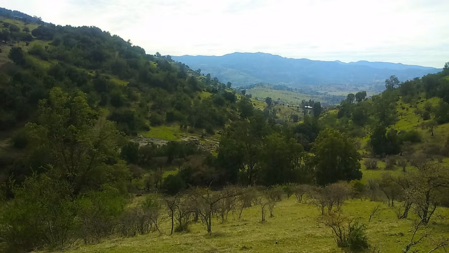 Últimos días a precio rebajado! - 26 Hectáreas en Rauco! Rol Propio - (A 30 min de Curicó)