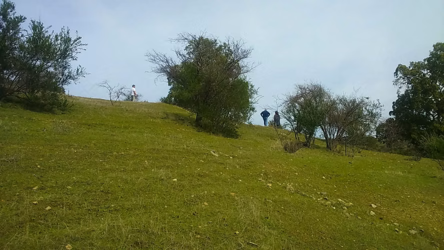 Últimos días a precio rebajado! - 26 Hectáreas en Rauco! Rol Propio - (A 30 min de Curicó)