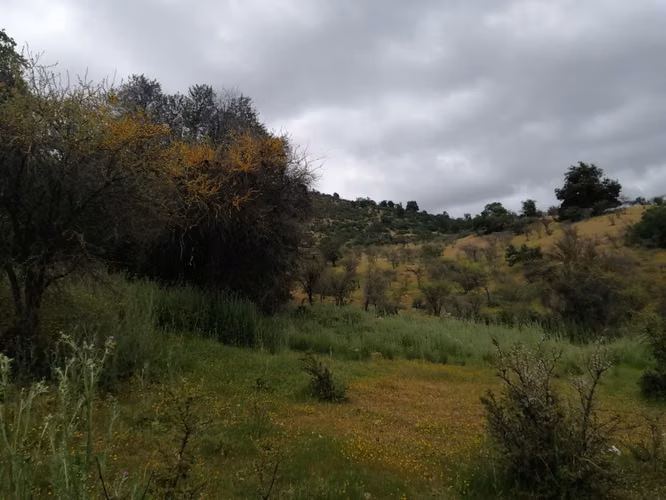 Últimos días a precio rebajado! - 26 Hectáreas en Rauco! Rol Propio - (A 30 min de Curicó)
