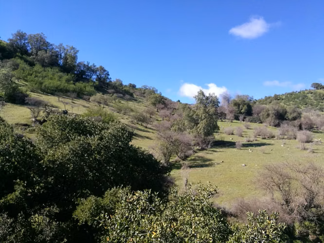 Últimos días a precio rebajado! - 26 Hectáreas en Rauco! Rol Propio - (A 30 min de Curicó)