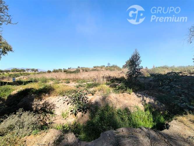 Parcela Agrícola con Derechos de Agua en Venta - Codigua. - Imagen 4