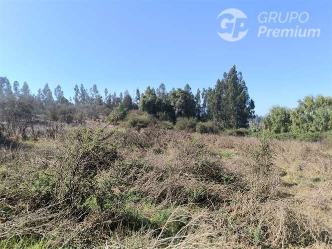 Parcela Agrícola con Derechos de Agua en Venta - Codigua. - Imagen 27