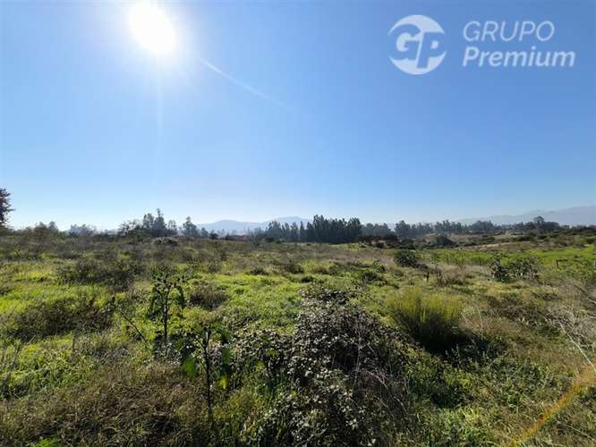 Parcela Agrícola con Derechos de Agua en Venta - Codigua. - Imagen 40