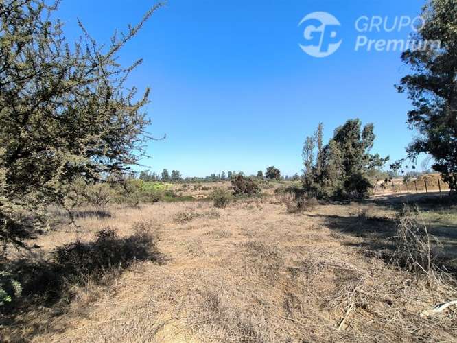 Parcela Agrícola con Derechos de Agua en Venta - Codigua. - Imagen 25