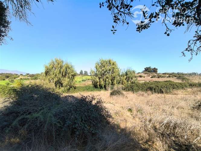 Parcela Agrícola con Derechos de Agua en Venta - Codigua. - Imagen 5