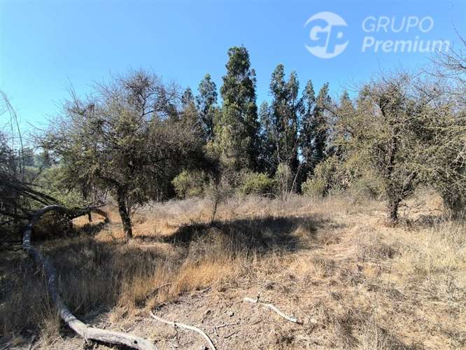 Parcela Agrícola con Derechos de Agua en Venta - Codigua. - Imagen 19