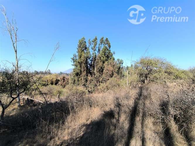 Parcela Agrícola con Derechos de Agua en Venta - Codigua. - Imagen 18