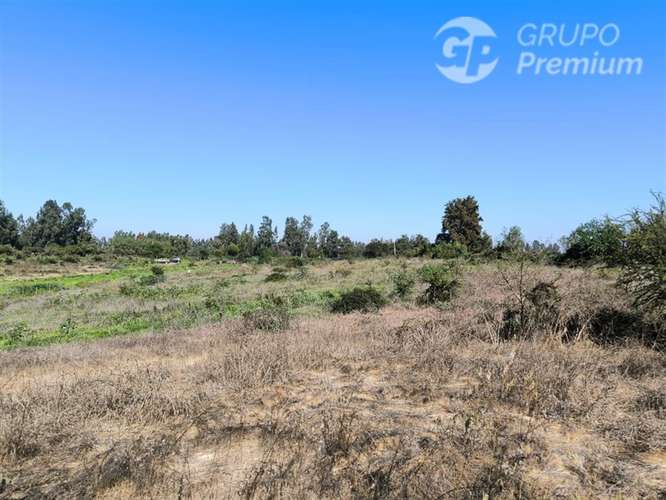Parcela Agrícola con Derechos de Agua en Venta - Codigua. - Imagen 35