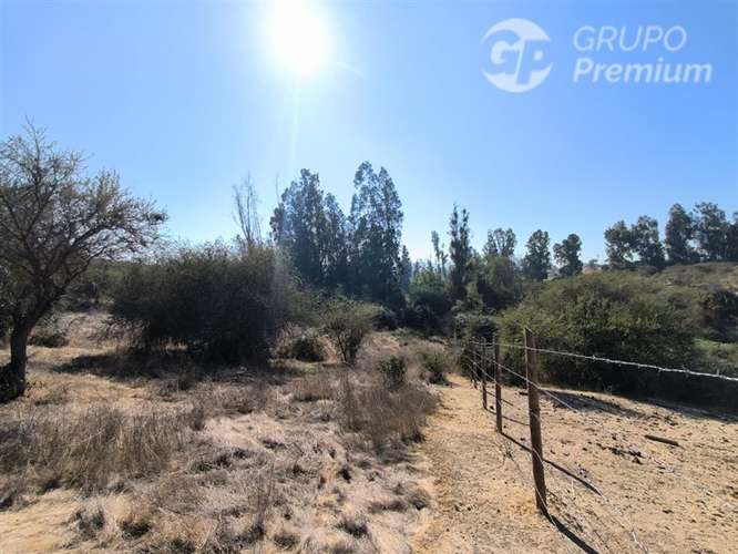 Parcela Agrícola con Derechos de Agua en Venta - Codigua. - Imagen 16