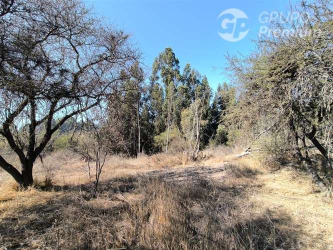 Parcela Agrícola con Derechos de Agua en Venta - Codigua. - Imagen 21