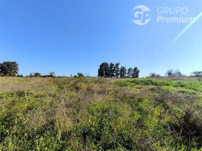 Parcela Agrícola con Derechos de Agua en Venta - Codigua. - Imagen 33