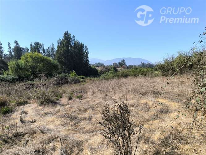 Parcela Agrícola con Derechos de Agua en Venta - Codigua. - Imagen 30