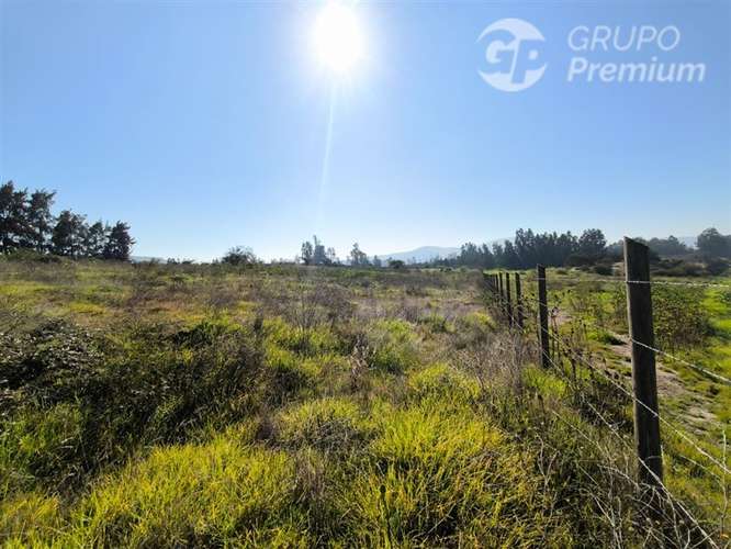 Parcela Agrícola con Derechos de Agua en Venta - Codigua. - Imagen 36