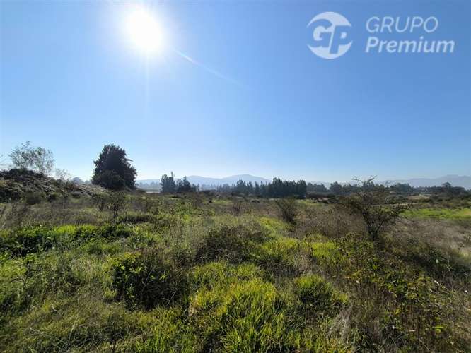Parcela Agrícola con Derechos de Agua en Venta - Codigua. - Imagen 39