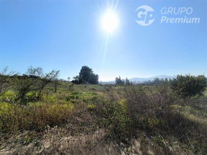 Parcela Agrícola con Derechos de Agua en Venta - Codigua. - Imagen 37