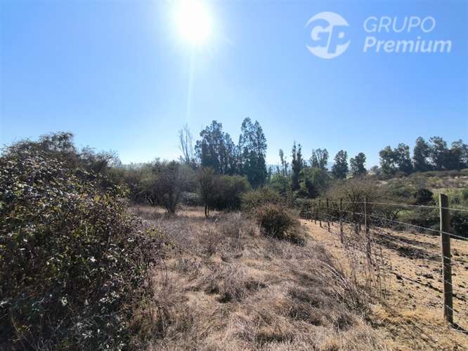 Parcela Agrícola con Derechos de Agua en Venta - Codigua. - Imagen 14