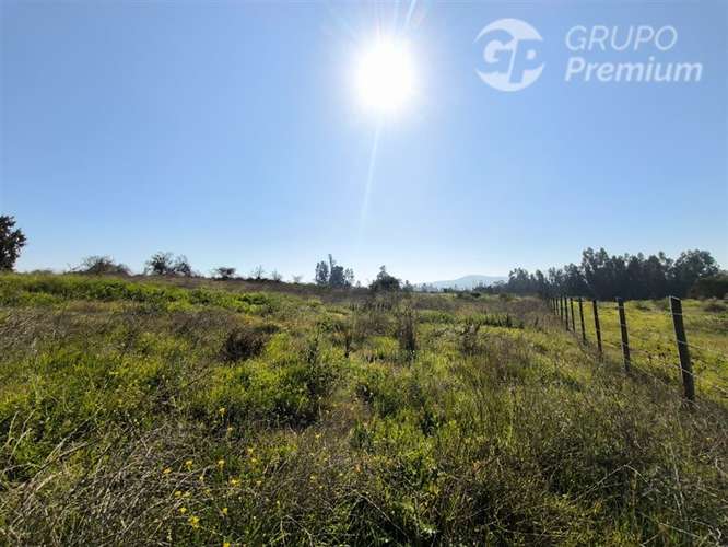 Parcela Agrícola con Derechos de Agua en Venta - Codigua. - Imagen 34