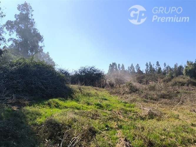 Parcela Agrícola con Derechos de Agua en Venta - Codigua. - Imagen 28