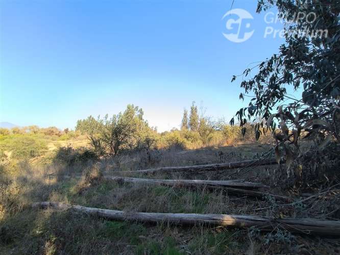 Parcela Agrícola con Derechos de Agua en Venta - Codigua. - Imagen 12