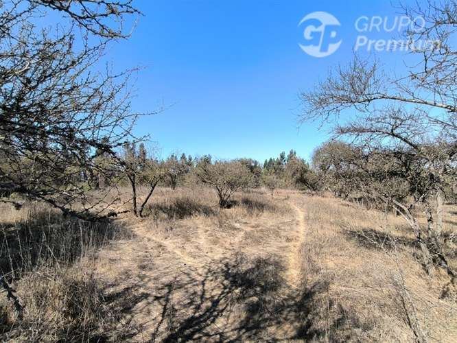 Parcela Agrícola con Derechos de Agua en Venta - Codigua. - Imagen 22