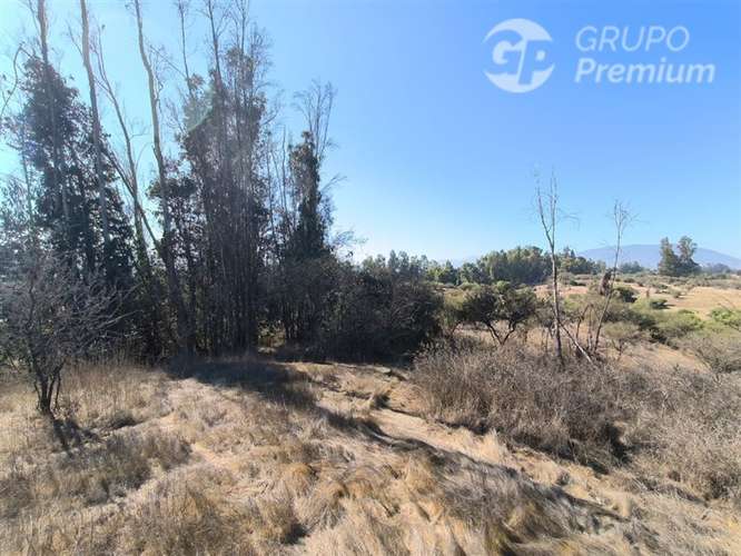 Parcela Agrícola con Derechos de Agua en Venta - Codigua. - Imagen 17
