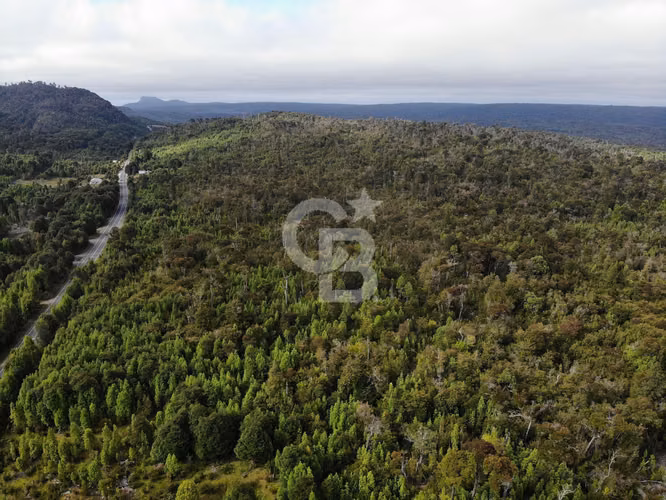 Hermoso campo con bosque y río en carretera Austral