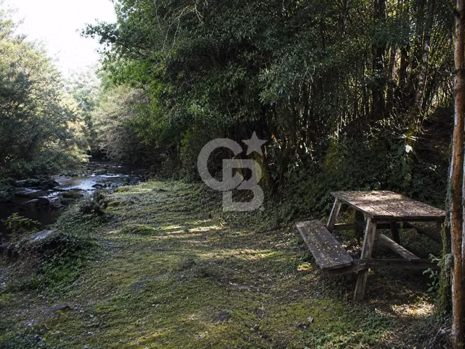 ¡Completa orilla de río! A sólo 15 minutos de Puerto Varas