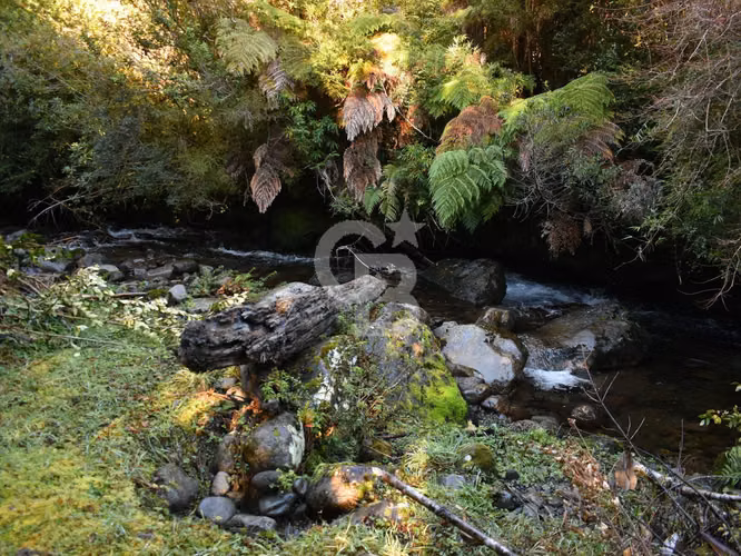 ¡Completa orilla de río! A sólo 15 minutos de Puerto Varas - Imagen 11
