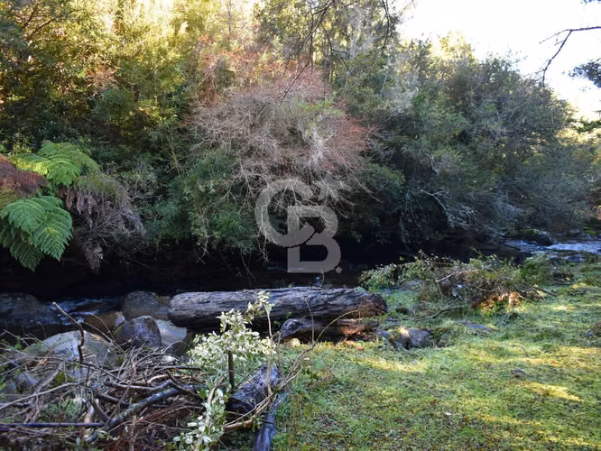 Parcela con orilla de río y bosque nativo Puerto Varas
