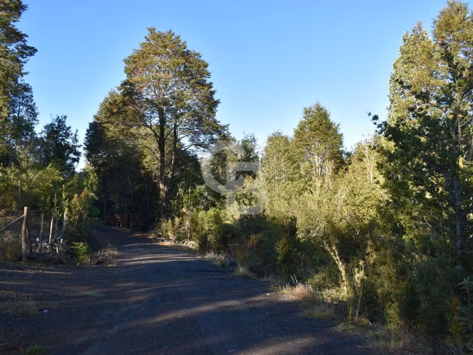 ¡Completa orilla de río! A sólo 15 minutos de Puerto Varas - Imagen 14