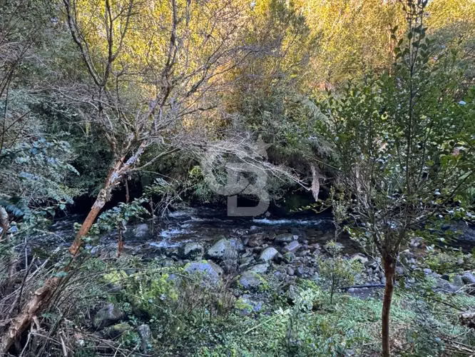 ¡Completa orilla de río! A sólo 15 minutos de Puerto Varas - Imagen 8